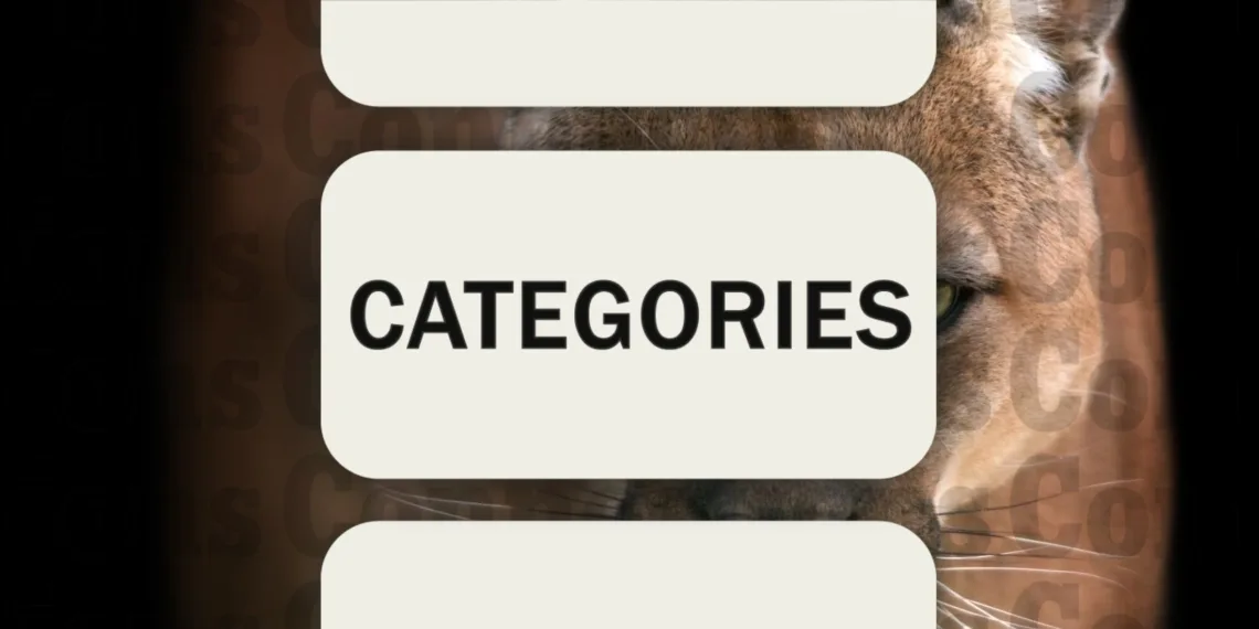 Connections Puzzle #546 Solutions & Tips for Dec 8, 2024