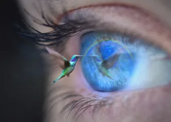 Do Blink cameras require a monthly fee?