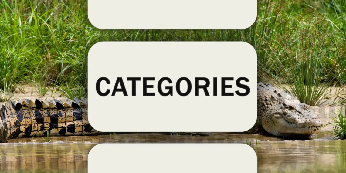 Hints and Solutions for Today's Connections - Dec 2, 2024 (#540)