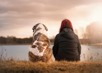 Is TCL the best Roku?