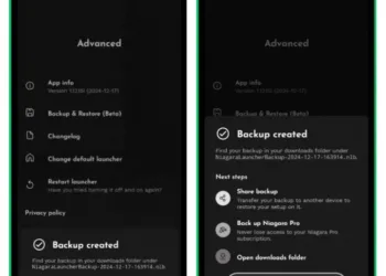 Niagara Launcher Now Offers Backup Features For Users