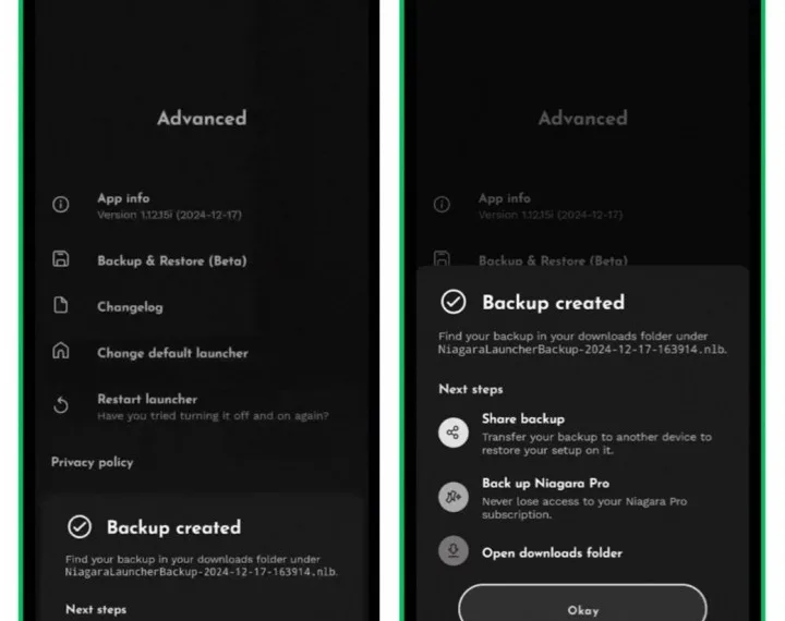 Niagara Launcher Now Offers Backup Features For Users