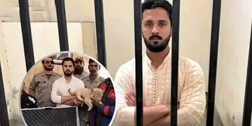 Rajab Butt Freed After Lion Cub Arrest and Weapon Display