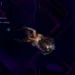 Unlocking Neurodes: A Guide for Warframe Players