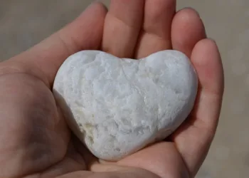 What does give the best mean?