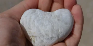 What does give the best mean?