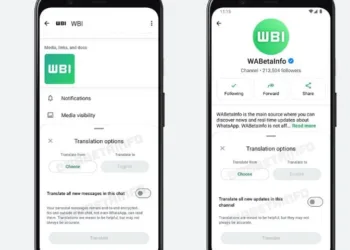 WhatsApp Introduces Message Translation for Users.jpg