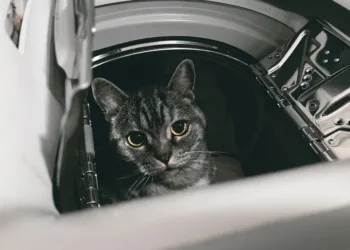 Which brand of washer and dryer is the most reliable?