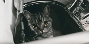 Which brand of washer and dryer is the most reliable?