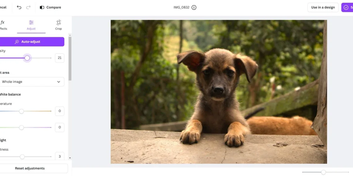 Why I Choose AI Tools for Photo Editing Over Manual Methods
