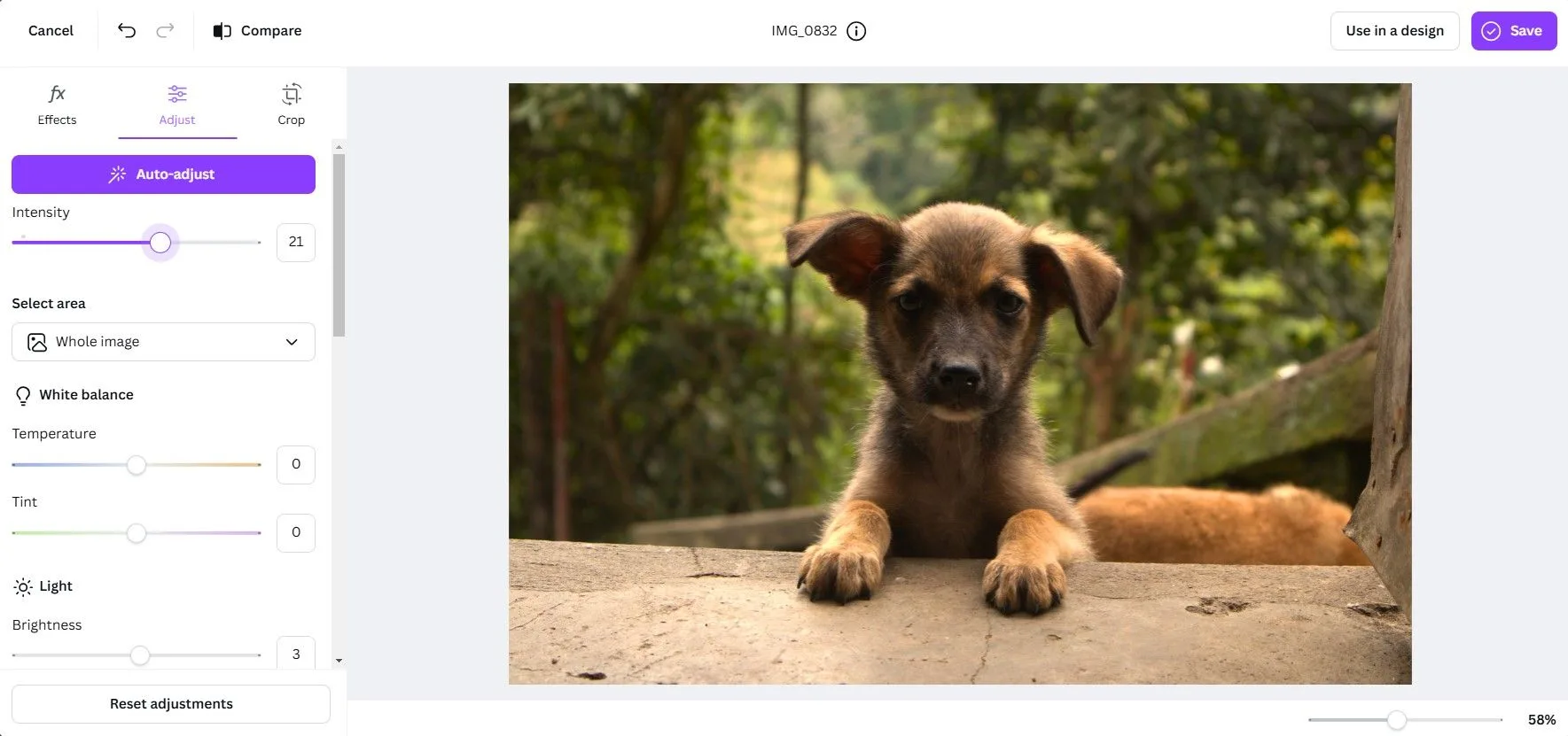 Why I Choose AI Tools for Photo Editing Over Manual Methods