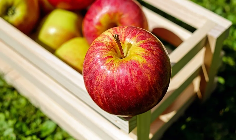 apple 1589869 960 720.jpg