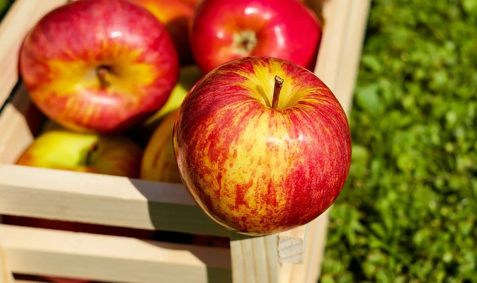 apple 1589874 960 720.jpg