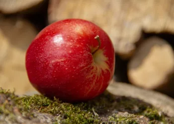 apple 3313209 960 720.jpg