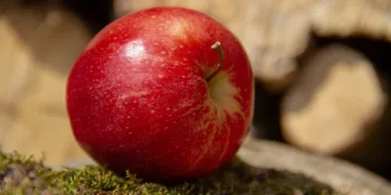 apple 3313209 960 720.jpg