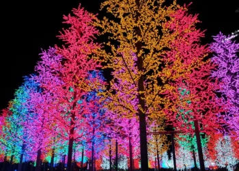 artificial 757740 960 720.jpg