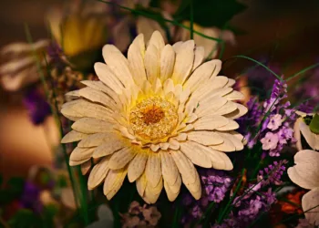 artificial flower 3723542 960 720.jpg