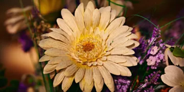 artificial flower 3723542 960 720.jpg