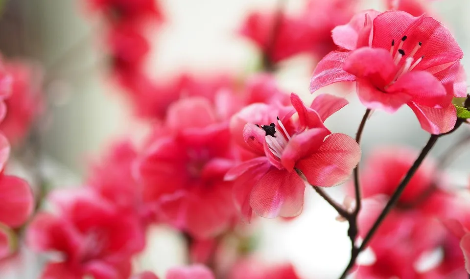 artificial flowers 1081322 960 720.jpg