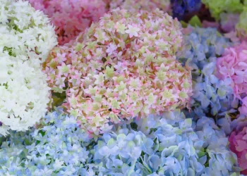 artificial flowers 3120573 960 720.jpg