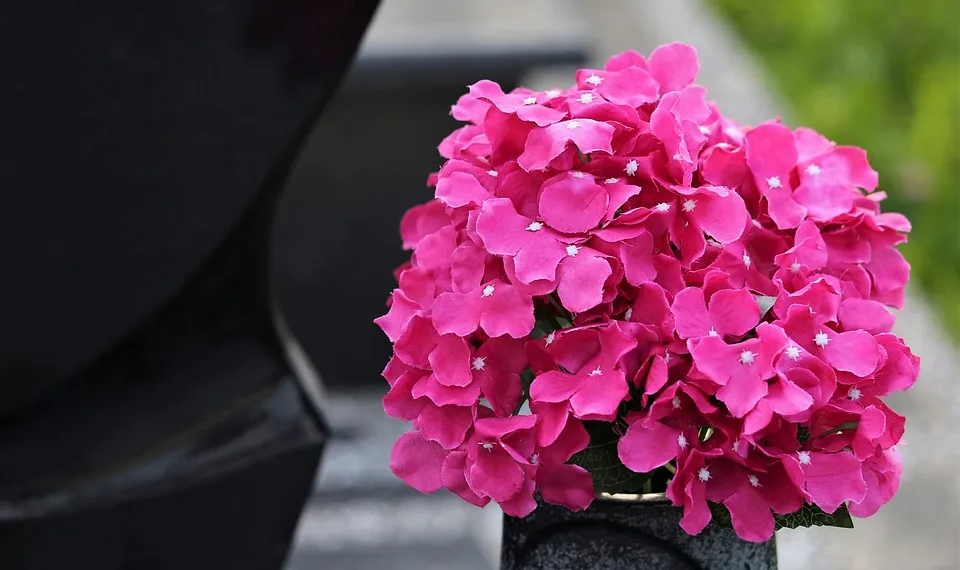 artificial flowers 4393609 960 720.jpg