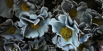 artificial flowers 5806333 960 720.jpg