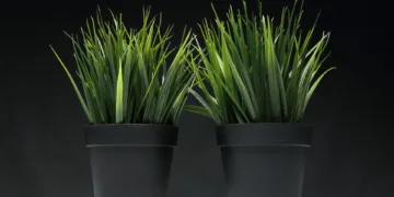 artificial grass 4056458 960 720.jpg