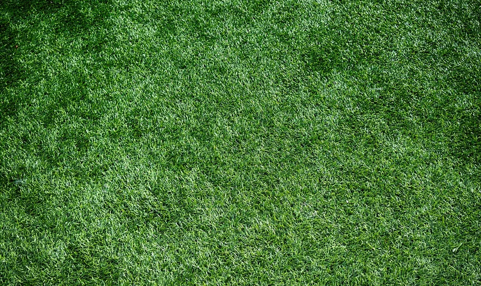 artificial turf 1711556 960 720.jpg