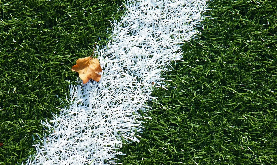 artificial turf 2658661 960 720.jpg