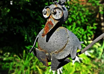 bird 2681737 960 720.jpg