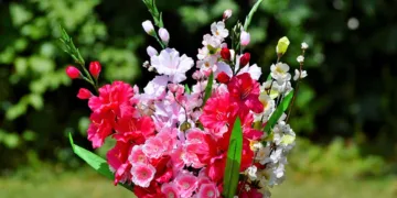 bouquet of flowers 2503256 960 720.jpg