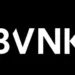 BVNK Secures $50M to Enhance Stablecoin Payments in the U.S.