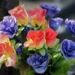 colorful artificial flowers 4412158 960 720.jpg