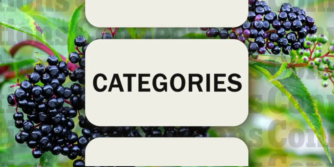 December 26, 2024 Connections Clues & Solutions (Puzzle #564)