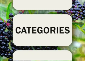 December 26, 2024 Connections Clues & Solutions (Puzzle #564)