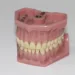 dentures 1514697 960 720.jpg