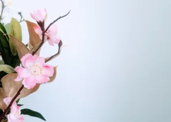 flower 4890506 960 720.jpg