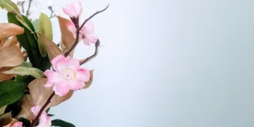 flower 4890506 960 720.jpg