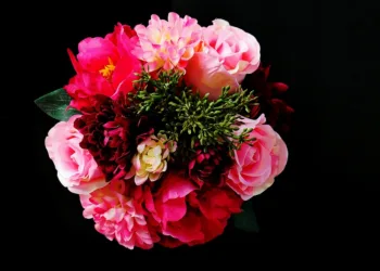 flowers 4031660 960 720.jpg