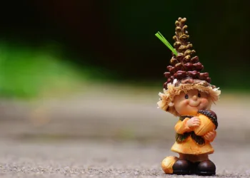 imp 982716 960 720.jpg