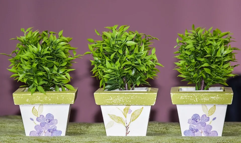 pots 2610155 960 720.jpg
