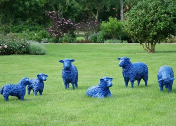 sheep 5443406 960 720.jpg