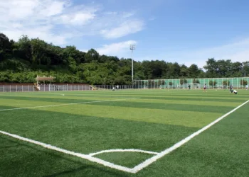 sport 2620593 960 720.jpg