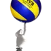 volleyball 2612968 960 720.png