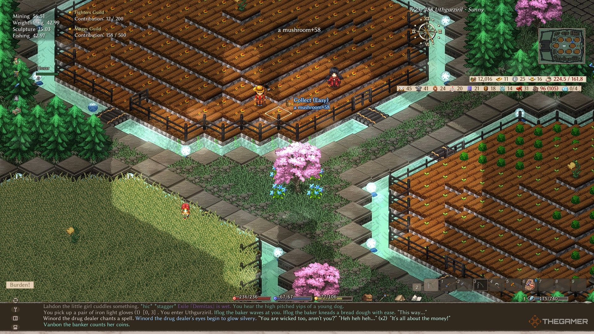 A large farm in Elin containing assorted berries, mushrooms, and grains.