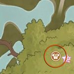 Quest 13