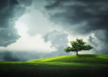 How to Change Your Avatar on PS5: A Step-by-Step Guide