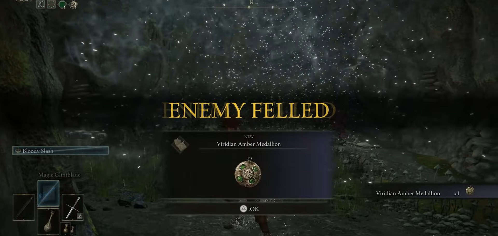 Viridian Amber Medallion location