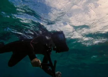 Galaxy S24 Ultra Aids Coral Reef Conservation Efforts