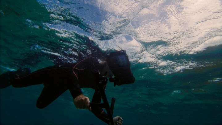 Exploring underwater reefs.